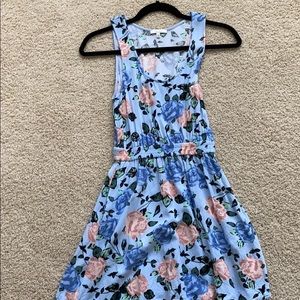 Aritzia Floral Print Dress